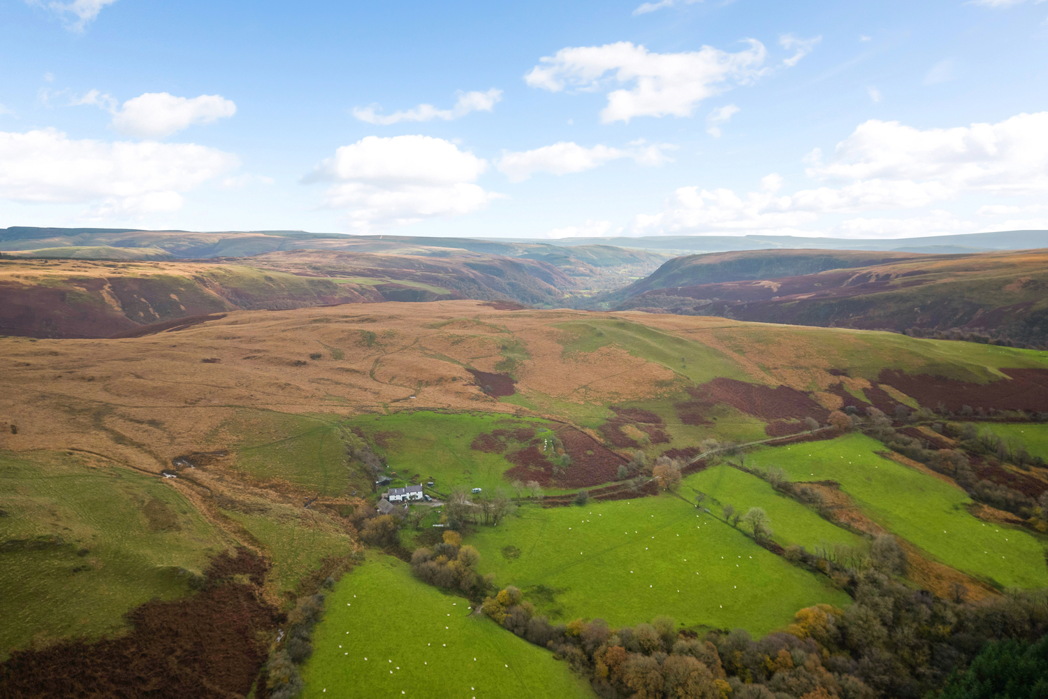 Blaen Nant Melyn