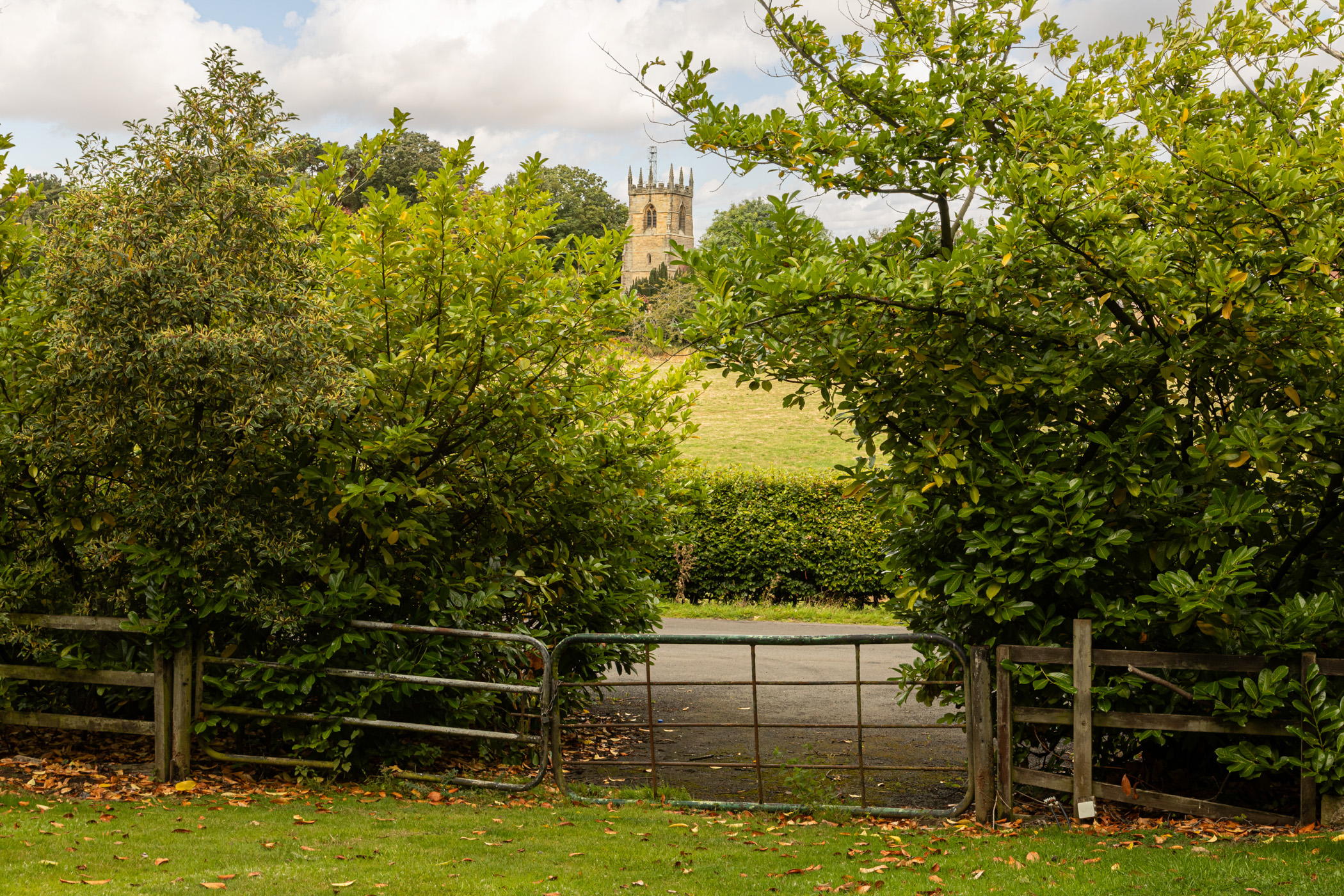 Bowes Hill