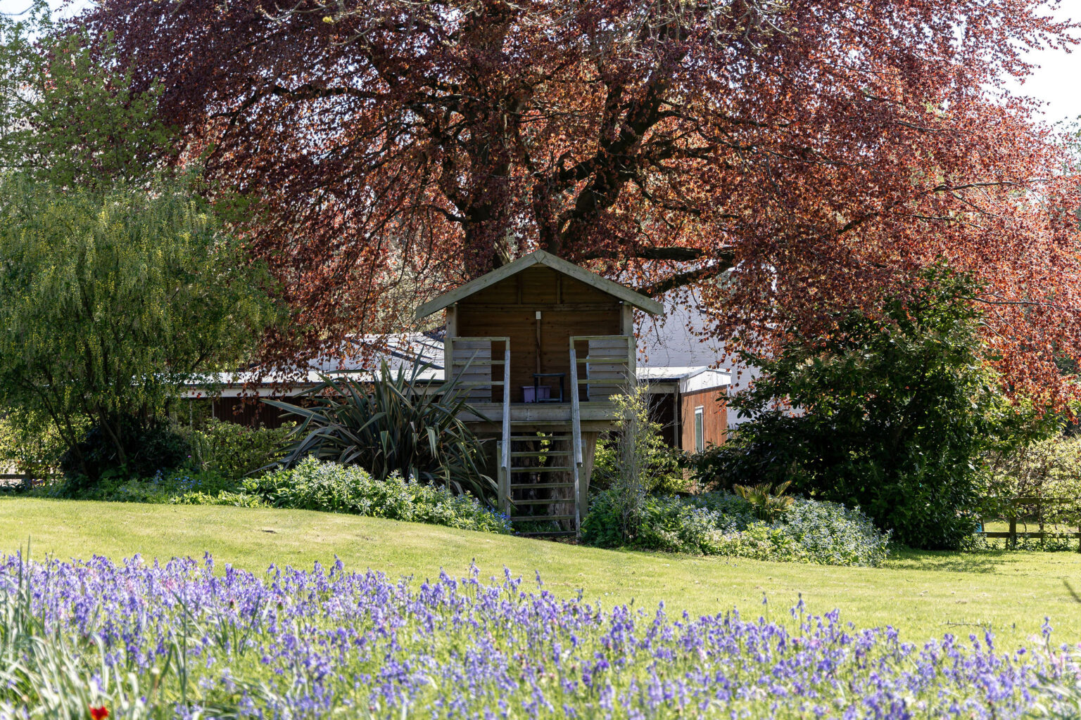 Glynne Cottage Castle Grounds