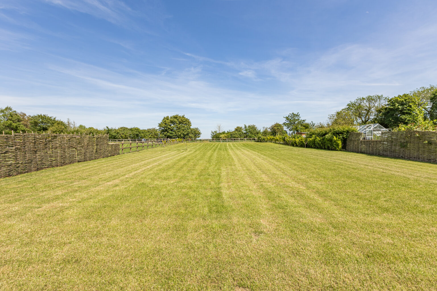 Field View
