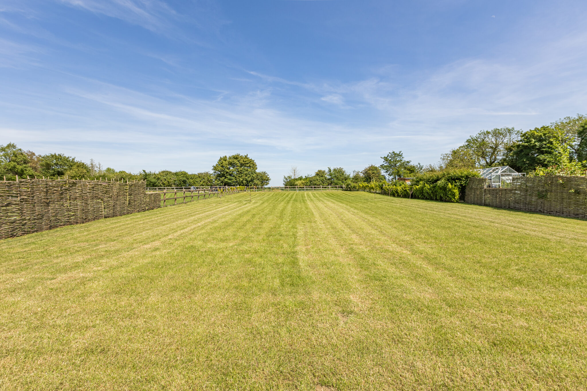 Field View