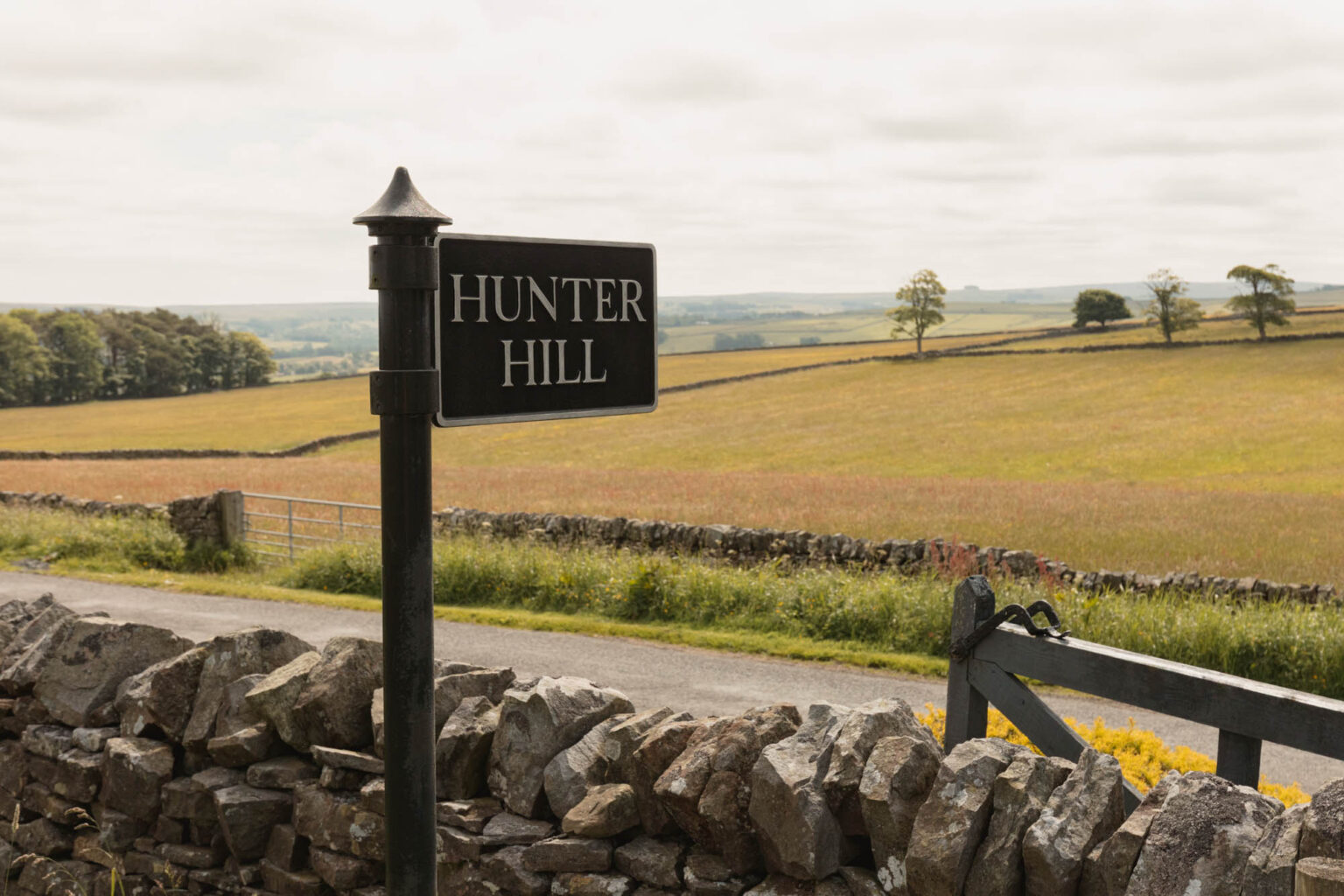 Hunter Hill