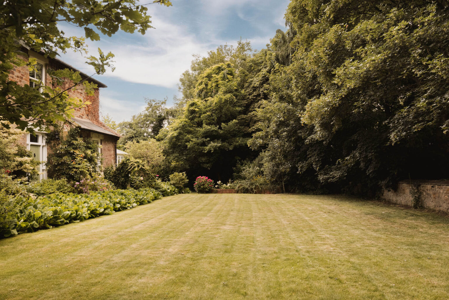 Oak Tree House