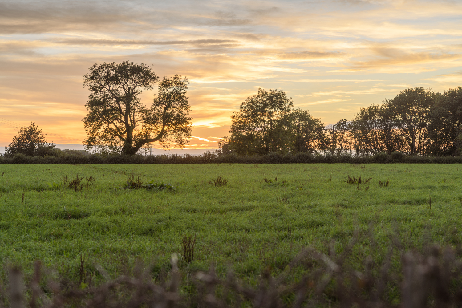 Brook Farm