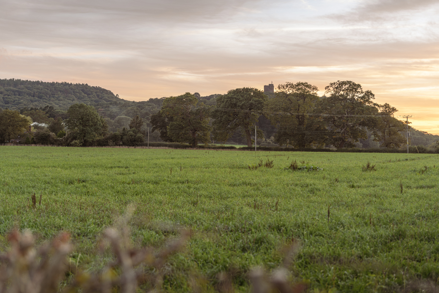 Brook Farm