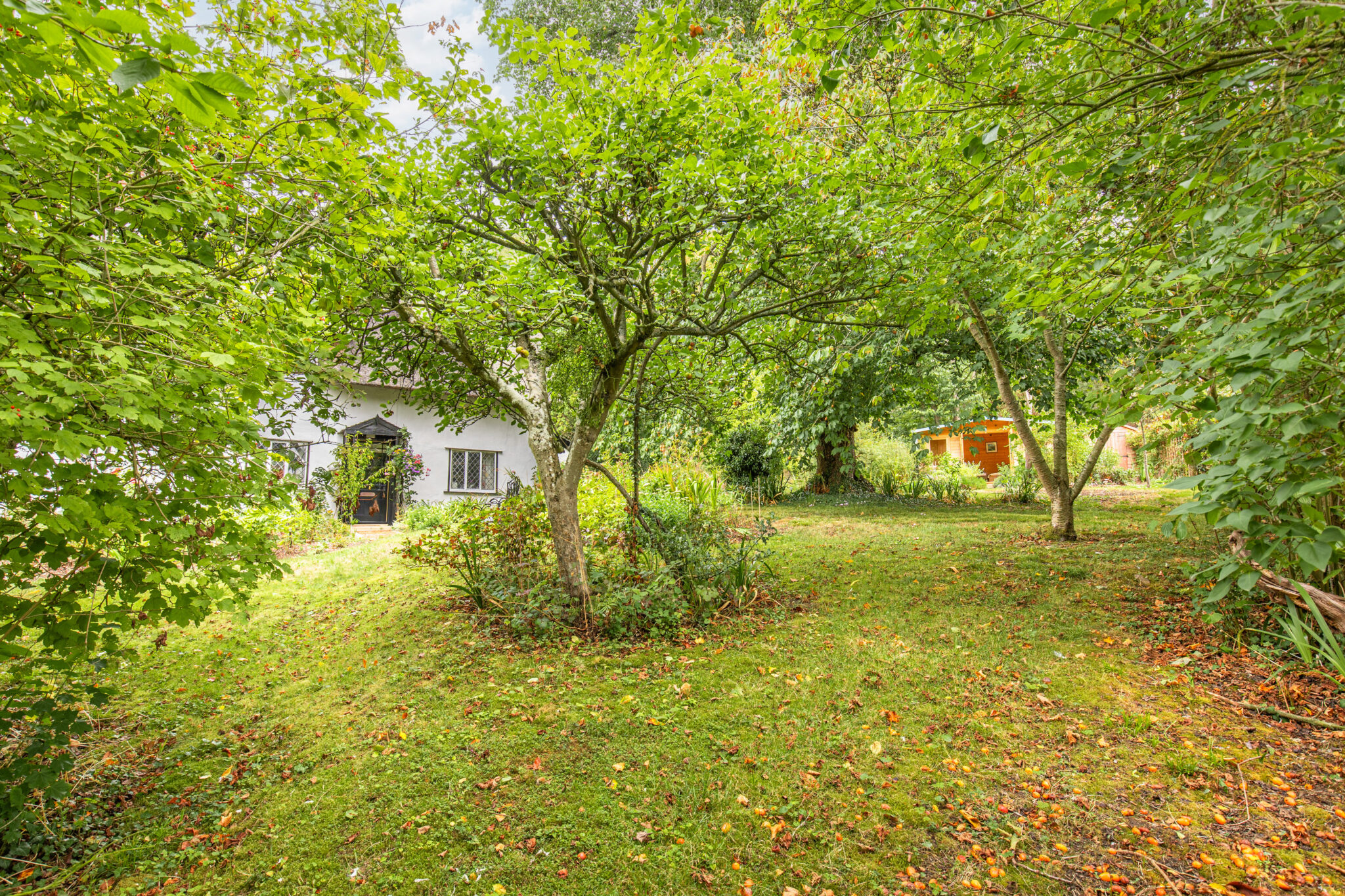 Beech Cottage