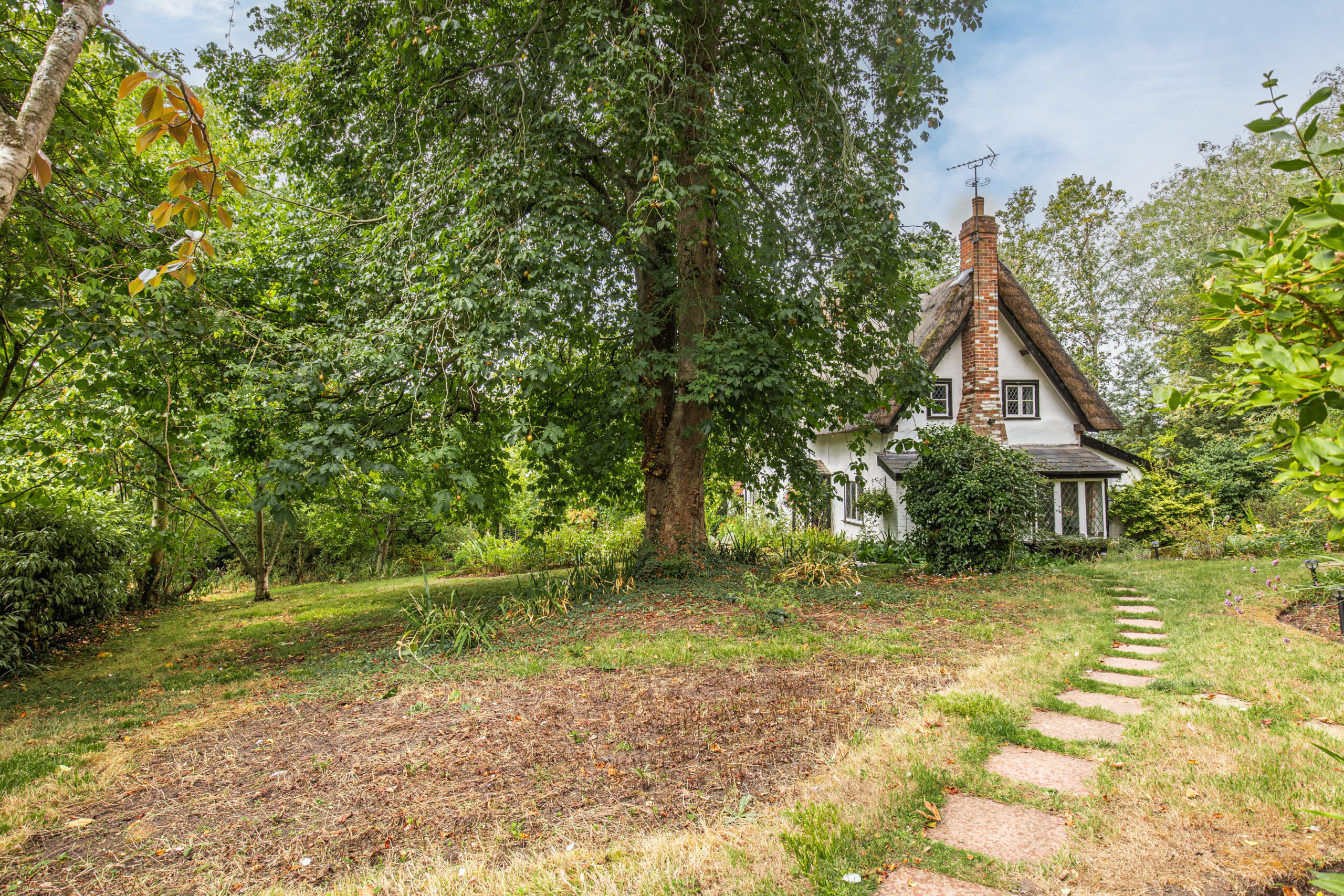 Beech Cottage