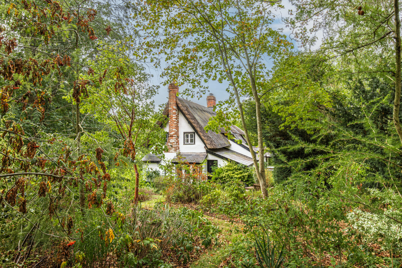 Beech Cottage